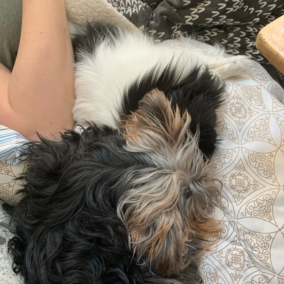 Profile Picture of Allen Scott (@2123allen) on Poshmark