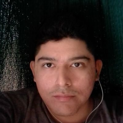 Profile Picture of Luis Fernando Ovando Pérez (@Luisfer37340707) on Twitter