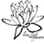 Profile Picture of Sherry Andrade (@Lotus Leaf Photography) on Flickr
