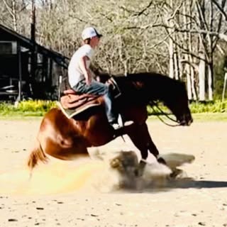 Profile Picture of logan joseph vernon😈 (@logan_joseph) on Instagram