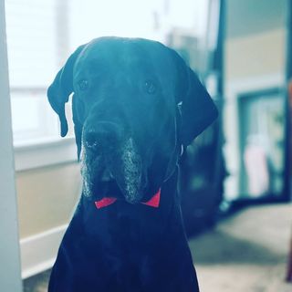 Profile Picture of Tabitha Spencer (@tabbyspence83) on Instagram