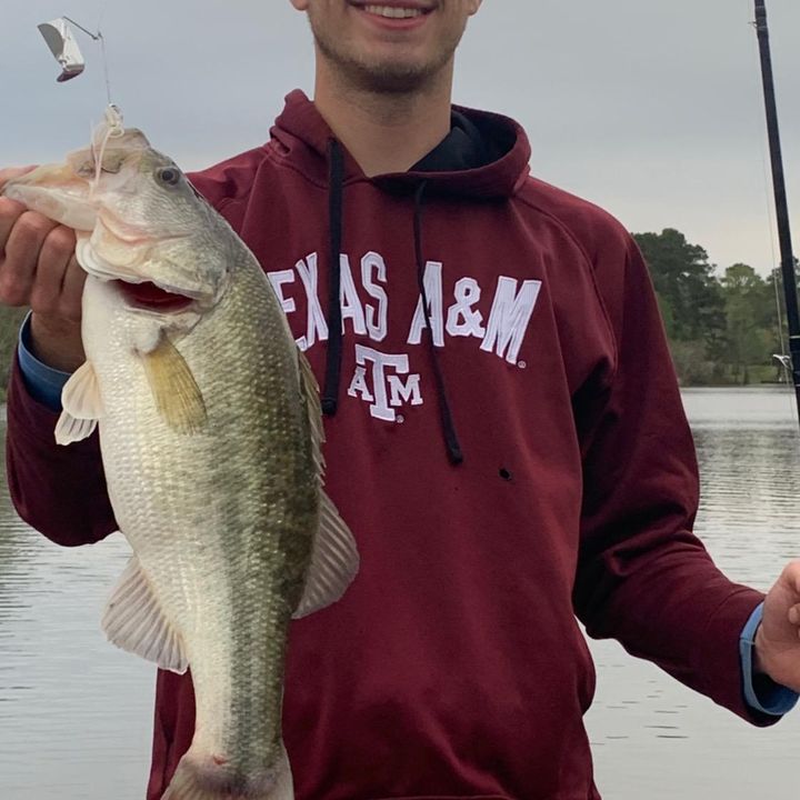 Profile Picture of Michael Whitted (@michael_s_w1) on Tiktok