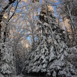 Profile Picture of Tomasz Nowak Vel Kowalski (@btmkg) on Twitter