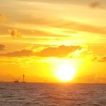 Profile Picture of Nancy Braley (@nlbraley) on Instagram