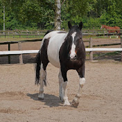 Profile Picture of Heike Placzek (@heikeplaczek7332) on Youtube