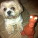 Profile Picture of Andrew Gillott (@gillott264) on Pinterest