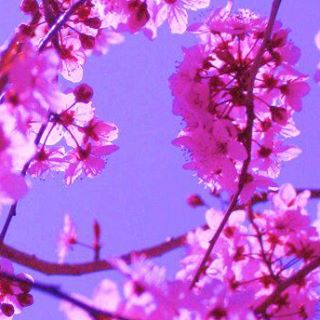 Dee Woodruff Workman - Facebook Profile Picture of Dee Woodruff Workman (@dee.woodruffworkman) on Facebook