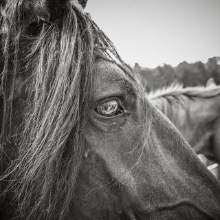 Profile Picture of Matthew St. Jean (@mattstjean.photography) on Instagram