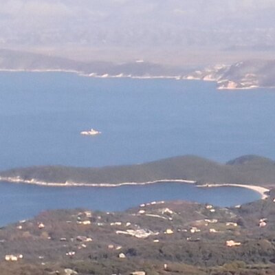 Profile Picture of Nick  Anifantis (@anifannic) on Twitter