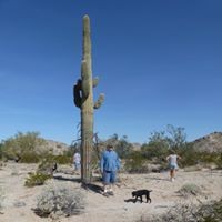 Profile Picture of Charles Baldwin (@charles-baldwin-29) on Quora