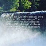 Profile Picture of Jared Mathias (@jgmathias.jm) on Instagram