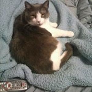 Profile Picture of Sandra Swiatek (@sandra.swiatek.50) on Myspace