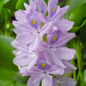 Profile Picture of Robert Gulyas (@robertgulyas9427) on Youtube