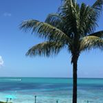 Profile Picture of Phyllisann (@phyllisannf) on Instagram