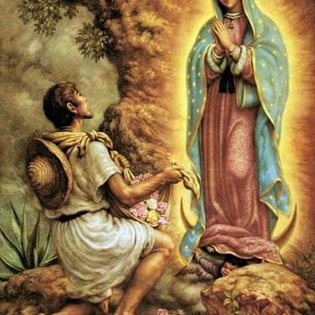 Profile Picture of JULIA ELENA AIDEE (@juliaelena26) on Twitter