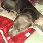 Profile Picture of Renee Jaramillo (@renee.jaramillo) on Instagram