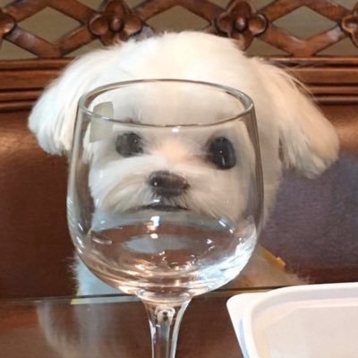 Profile Picture of Andy Yoon (@Andyyooon) on Twitter