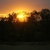 Profile Picture of Greg Hetrick (@greghetrick5804) on Youtube