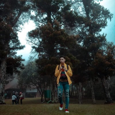 Profile Picture of Brian Galvis (@BrianGalv) on Twitter