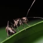 Profile Picture of Benjamin Bowman (@benjamin.bowman.9085) on Facebook