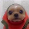 Profile Picture of CHRISTOPHER ALBERTO (@@chris.gaming57) on Tiktok