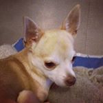 Profile Picture of MARI CABELLO (@mariiris1970) on Instagram