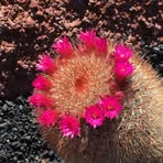 Profile Picture of Keith Ledson (@Keith-Ledson) on Facebook