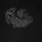 Profile Picture of Jesse Conley (@jesse.conley.20960) on Facebook