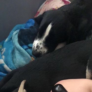 Profile Picture of Edward Lein (@edwardlein) on Tiktok