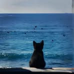 Profile Picture of Juana Luis (@juanita.alonzo.501) on Facebook