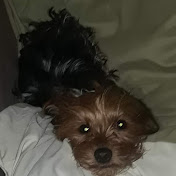 Stacey Blake-Townsend - Youtube Profile Picture of Stacey Blake-Townsend (@staceyblake-townsend6301) on Youtube