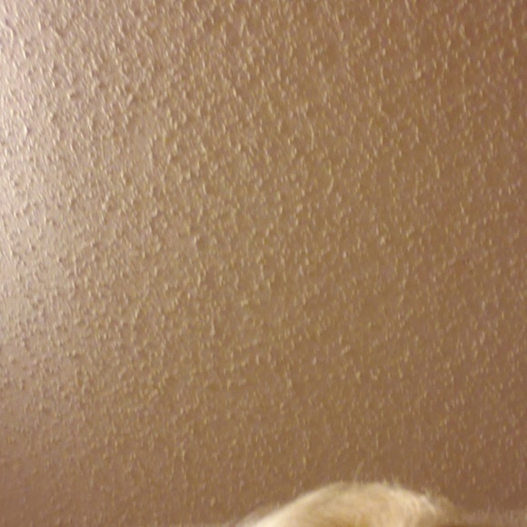 Profile Picture of Myrtle Link (@myrtlelink) on Poshmark