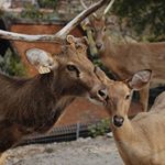 Profile Picture of Cleo Bishop (@cleobishop28) on Instagram