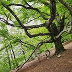 Profile Picture of Jerome Guinot (@fghelene) on Instagram