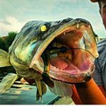 Profile Picture of Kevin Bär (@kevin.baer_) on Instagram