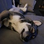 Profile Picture of Jonathan bielecki (@dimensional_loss) on Instagram