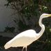 Profile Picture of darrell randall (@drandl31) on Pinterest
