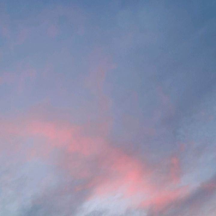 Profile Picture of 🌿Maci_Ruby🌿 (@maci_ruby) on Tiktok