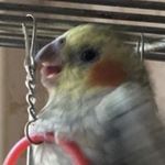 Julia Kasatkina - Instagram Profile Picture of Julia Kasatkina (@kasatkina.j) on Instagram