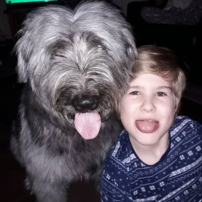 Profile Picture of Ben Morrison (@BenMorr55859745) on Twitter