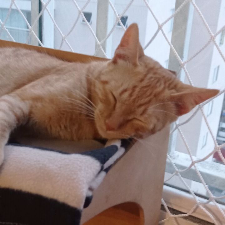 Profile Picture of Kimberly Zheng (@user840852874329) on Tiktok