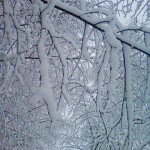 Profile Picture of Hardmans (@hardmansguyong36) on Instagram