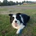 Profile Picture of Andrew Flook (@andrew.flook.144) on Facebook