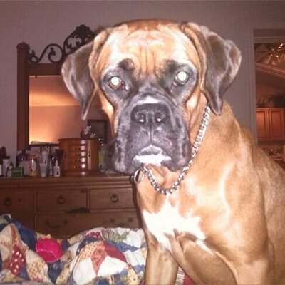 Profile Picture of Dottie Thomas (@tdottie65) on Twitter