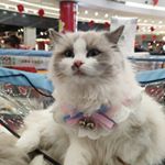 Profile Picture of Chris Tomczyk (@tk.cn.pl) on Instagram
