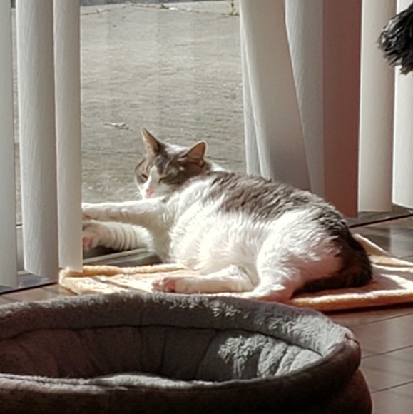 Profile Picture of Joanne Clark (@jcbirdie11) on Poshmark