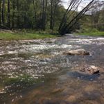 Profile Picture of Miriam Kennedy Côté (@miriamcote7) on Instagram