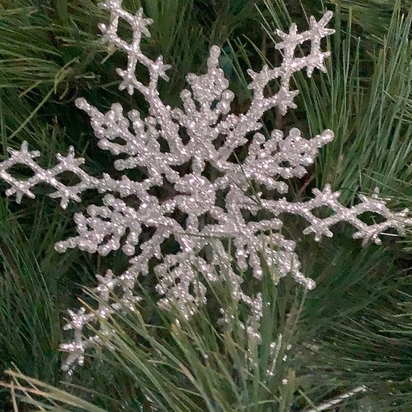 Susie Thomforde - Poshmark Profile Picture of Susie Thomforde (@boops_55027) on Poshmark