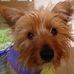 Profile Picture of Alison Mccomb (@alison.mccomb.39) on Facebook