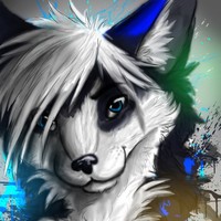 Profile Picture of Dusty Wolf (@dusty-wolf) on Quora